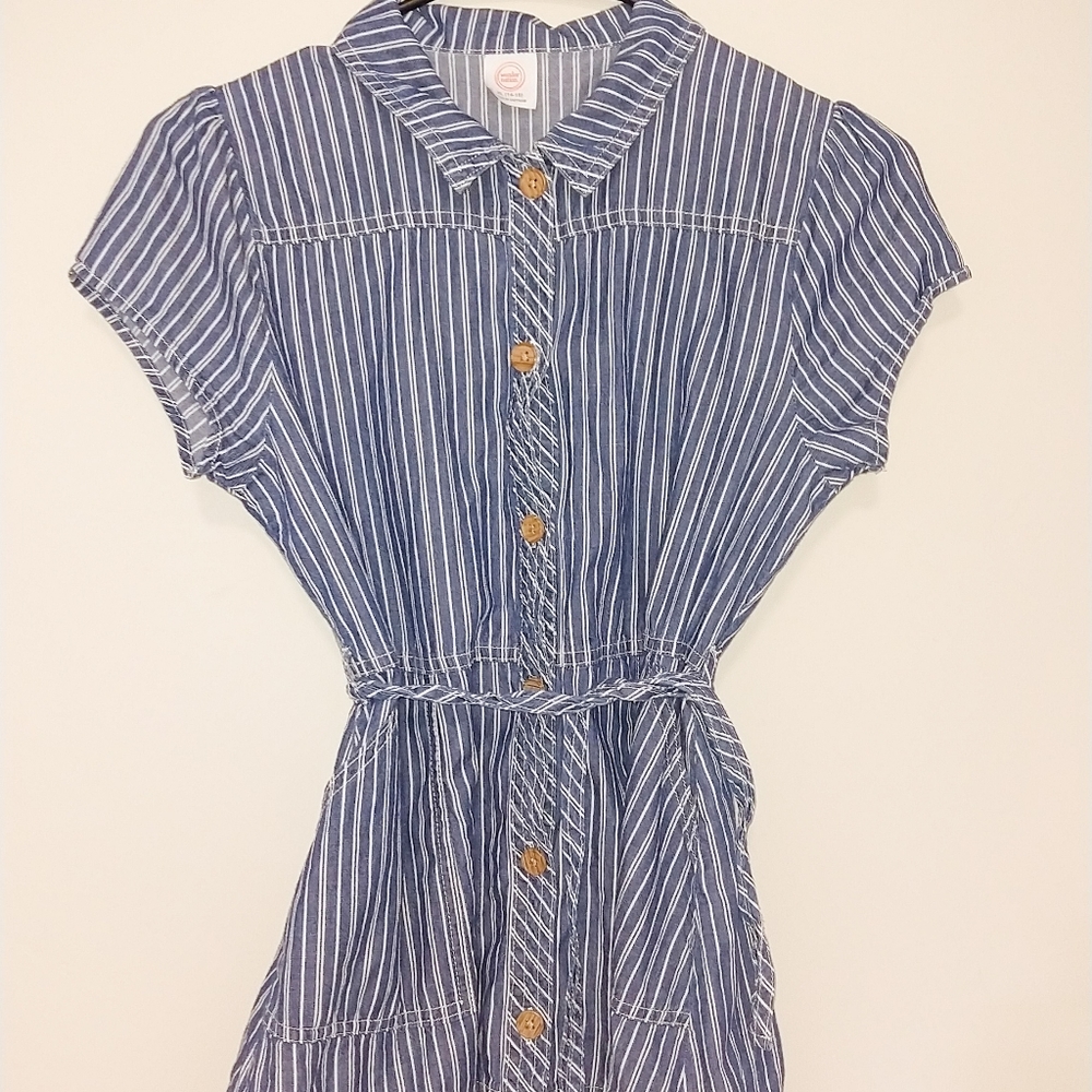 vintage blue dress